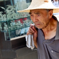 Photo de l'album Chine 133