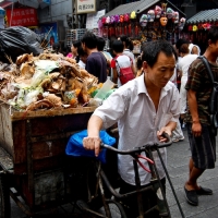 Photo de l'album Chine 53